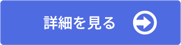 詳細