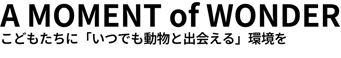 A-MOMENT-of-WONDER
